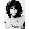 Doors Jim Morrison Tapestry Cloth Poster Flag Wall Banner 30" x 40"-Cyberteez