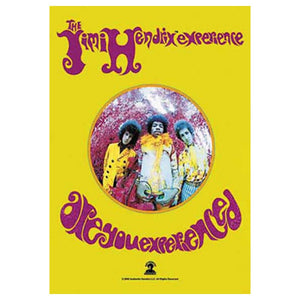 JIMI HENDRIX Are You Experienced Tapestry Cloth Poster Flag Wall Banner 30" x 40"-Cyberteez