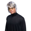Pop Star Wig Gray Men's Shag Mod Beatles Mop 60s 70s Costume Accessory-Cyberteez