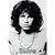Doors Jim Morrison Tapestry Cloth Poster Flag Wall Banner 30" x 40"