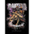 Pantera Cowboys From Hell  Tapestry Cloth Poster Flag Wall Banner 30" x 40"