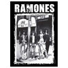 RAMONES CBGB Photo Tapestry Cloth Poster Flag Wall Banner 30" x 40"-Cyberteez