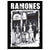 RAMONES CBGB Photo Tapestry Cloth Poster Flag Wall Banner 30" x 40"