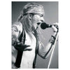 Guns 'N Roses Axl Rose Tapestry Cloth Poster Flag Wall Banner 30" x 40"-Cyberteez