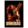 PANTERA Dimebag Darrell Fire Tapestry Cloth Poster Flag Wall Banner 30 x 40-Cyberteez