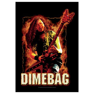PANTERA Dimebag Darrell Fire Tapestry Cloth Poster Flag Wall Banner 30 x 40-Cyberteez