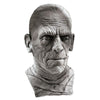 Mummy Universal Studios Monsters Boris Karloff Adult Size Full Latex Mask-Cyberteez