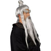 Sensei Wig and Beard Set Kung Fu Karate Master Men's Adult Costume Accessory-Cyberteez