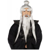 Sensei Wig and Beard Set Kung Fu Karate Master Men's Adult Costume Accessory-Cyberteez