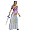 Legend Of Zelda Costume Princess Dress Deluxe Women's And Tween Sizes-Cyberteez