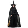 Wicked Witch Adult Women's Black Costume-Cyberteez