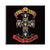 Guns N Roses Appetite For Destruction Fridge Magnet