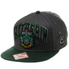 Harry Potter Slytherin Logo Adjustable Snapback Hat Cap-Cyberteez