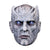 Game Of Thrones Night King Men's Costume Mask