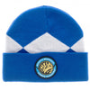Mighty Morphin Power Rangers BLUE Adult Fold Cuff Beanie Knit Hat Cap-Cyberteez