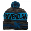 Harry Potter Ravenclaw House Logo Adult Beanie Knit Hat Cap-Cyberteez